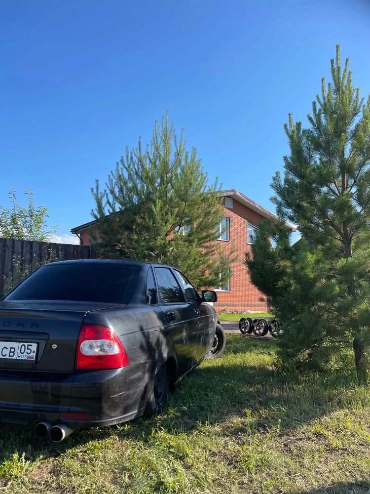  44189618  , 19 ,    
