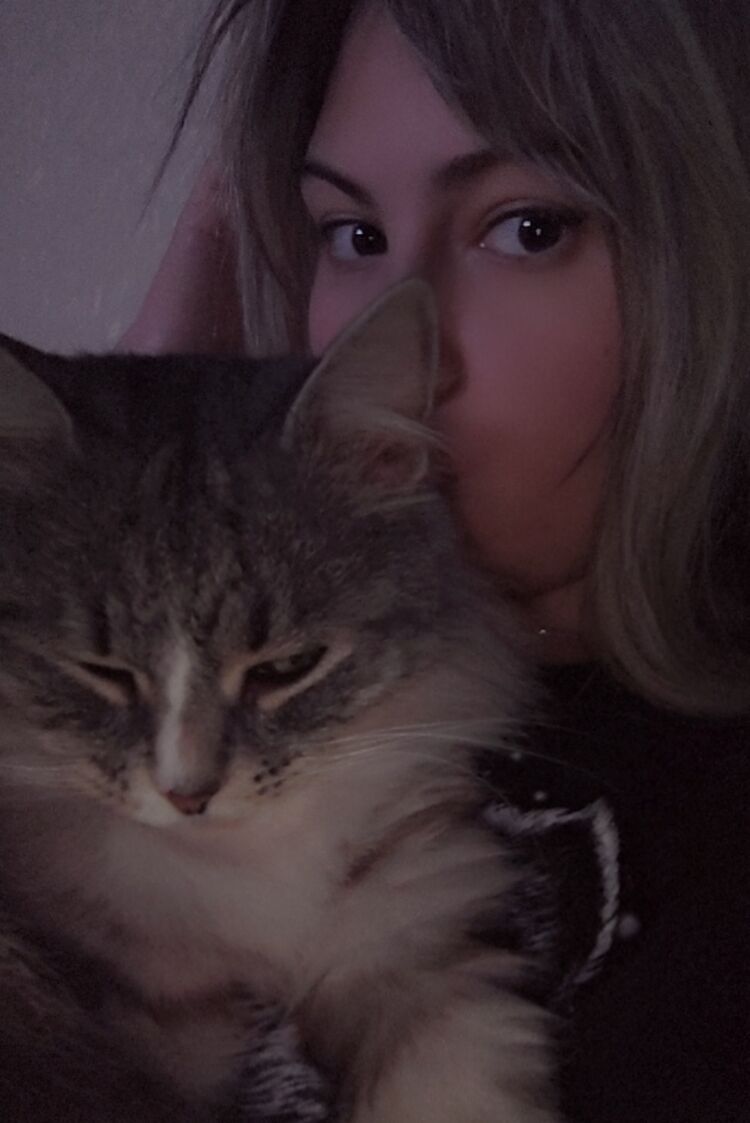 ���������� �������, ���� ������� ���� ����, 24 ����, ������������ ��� ������, ����� � ���������, c�������� ���������