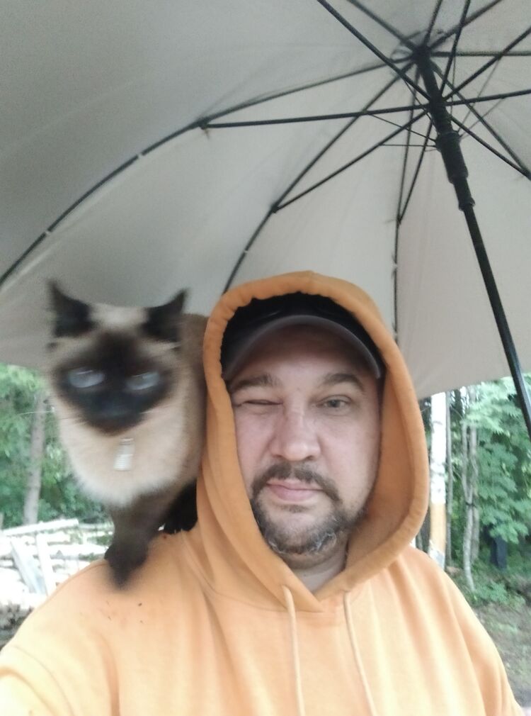  27707688  , 49 ,    -