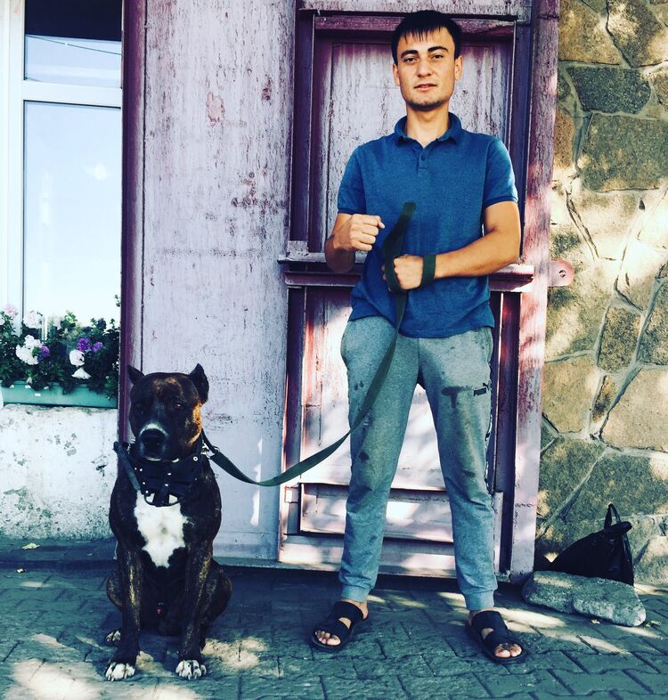 ���� 23950398 ������� �����, 27 ���, ���� ���������� � ���������