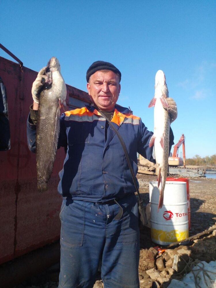 ���� 24718958 ������� �������, 53 ����, ���� ���������� � ������������