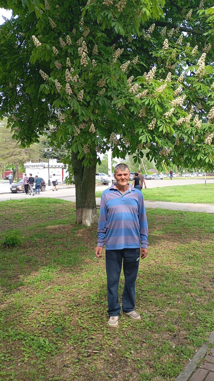  ,   , 62 ,   ,   , c 