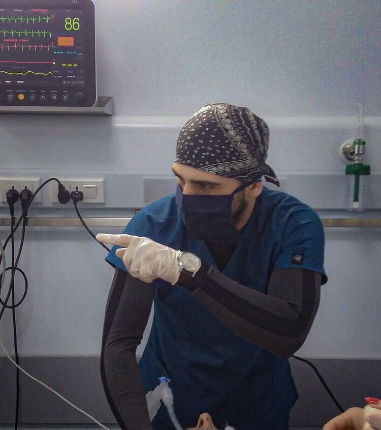  26186708  Nikka, 24 ,    