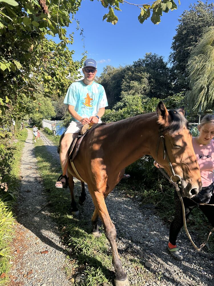  54049368  , 42 ,    -