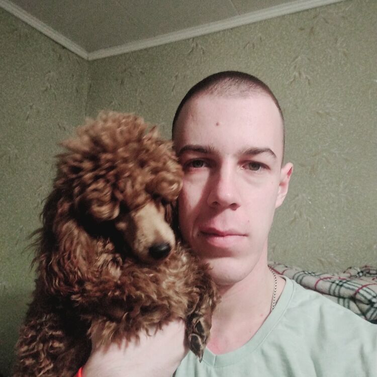 ���������� �������, ���� ������� ���������, 28 ���, ������������ ��� ������, ����� � ���������, c�������� ���������