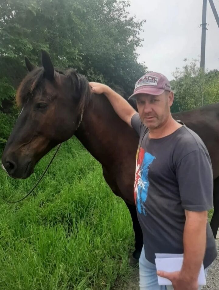 ���������� ���������, ���� ������� ���������, 51 ���, ������������ ��� c�������� ���������