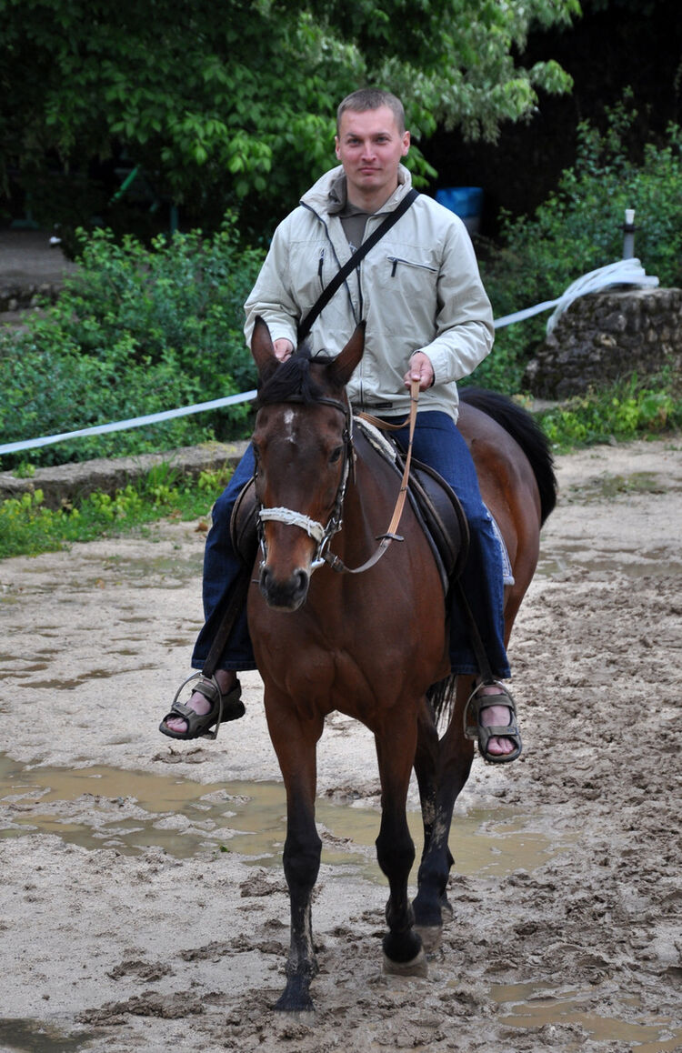 18105768  Rytis, 46 ,    