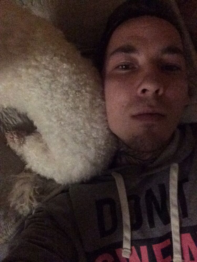 ���� 25200838 ������� ����, 33 ����, ���� ���������� � ������