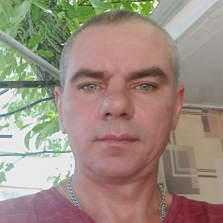  51015688  , 43 ,    