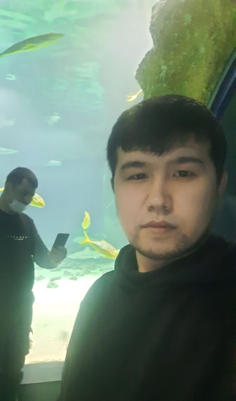 ���� 25568538 ������� �����, 38 ���, ���� ���������� � ������