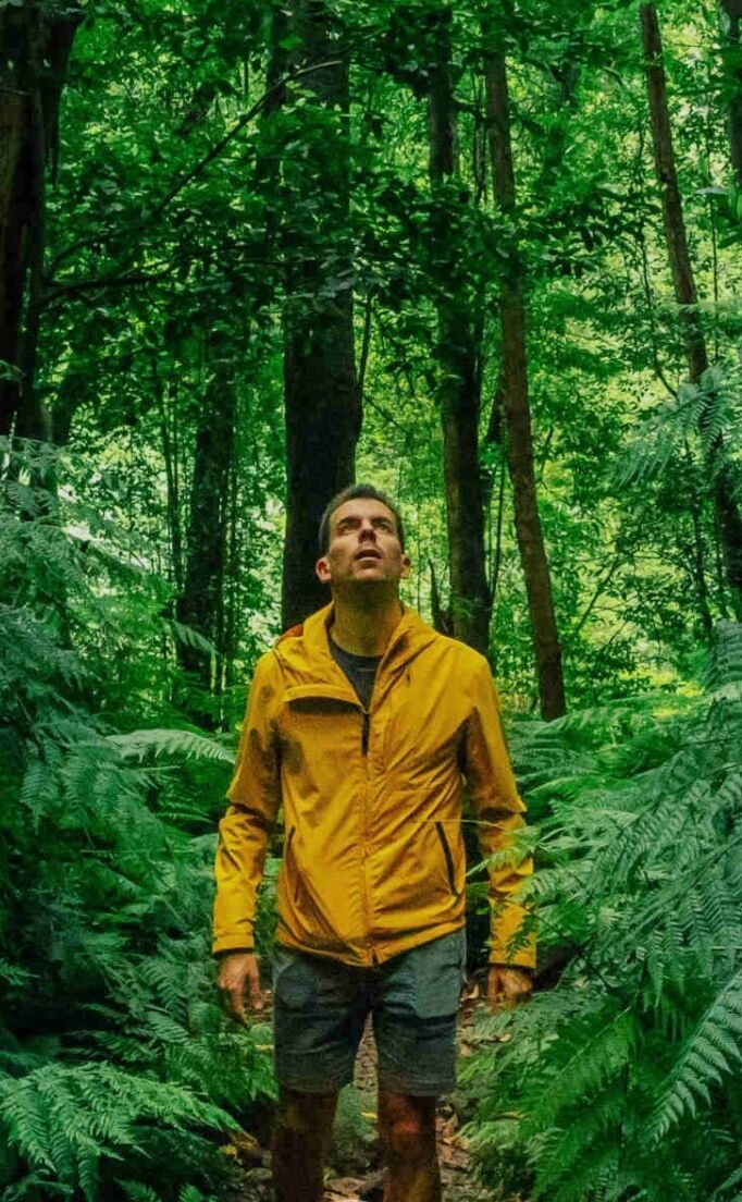 ���� 51715158 ����� ����, 19 ���, ���� ���������� � �������