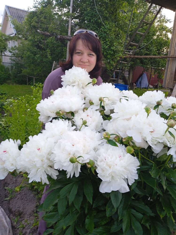 ���������� �����-���������, ���� ������� ����, 42 ����, ������������ ��� ������, ���������