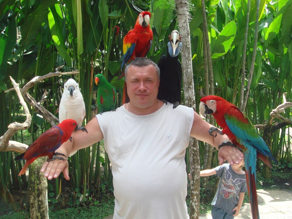 ���������� ������, ���� ������� ������, 59 ���, ������������ ��� ������, ����� � ���������