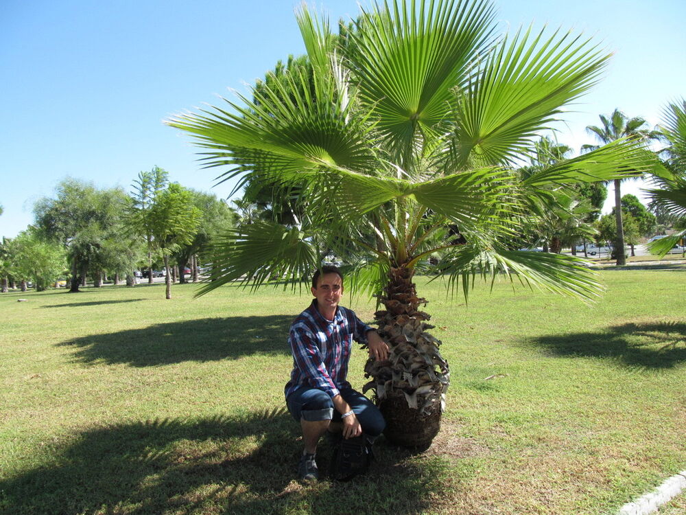 ���� 8726038 ������� �����, 41 ���, ���� ���������� � ������