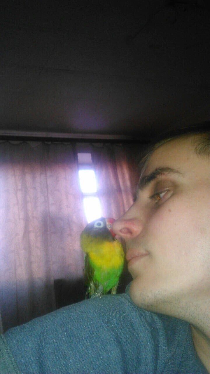  ,   , 35 ,  