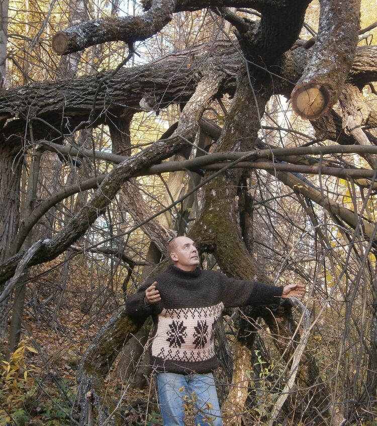 ���������� ������, ���� ������� ���������, 65 ���, ������������ ��� ����� � ���������, c�������� ���������