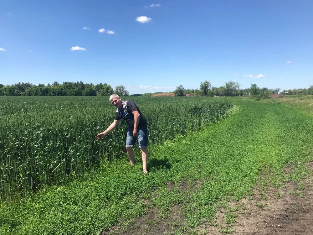 ���������� ������, ���� ������� ���������, 50 ���, ������������ ��� ������, ����� � ���������, c�������� ���������