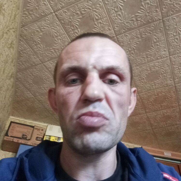  46046808  , 36 ,    