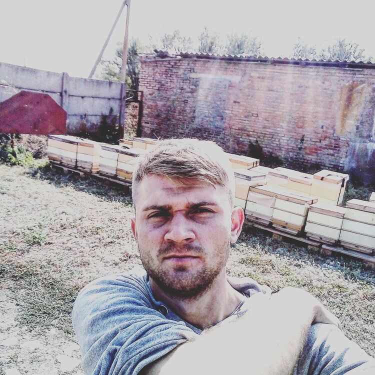 ���� 19968168 ������� BOON, 33 ����, ���� ���������� � ���������������