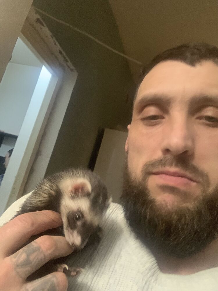 ���������� ����������, ���� ������� �������, 43 ����, ������������ ��� ������, ����� � ���������