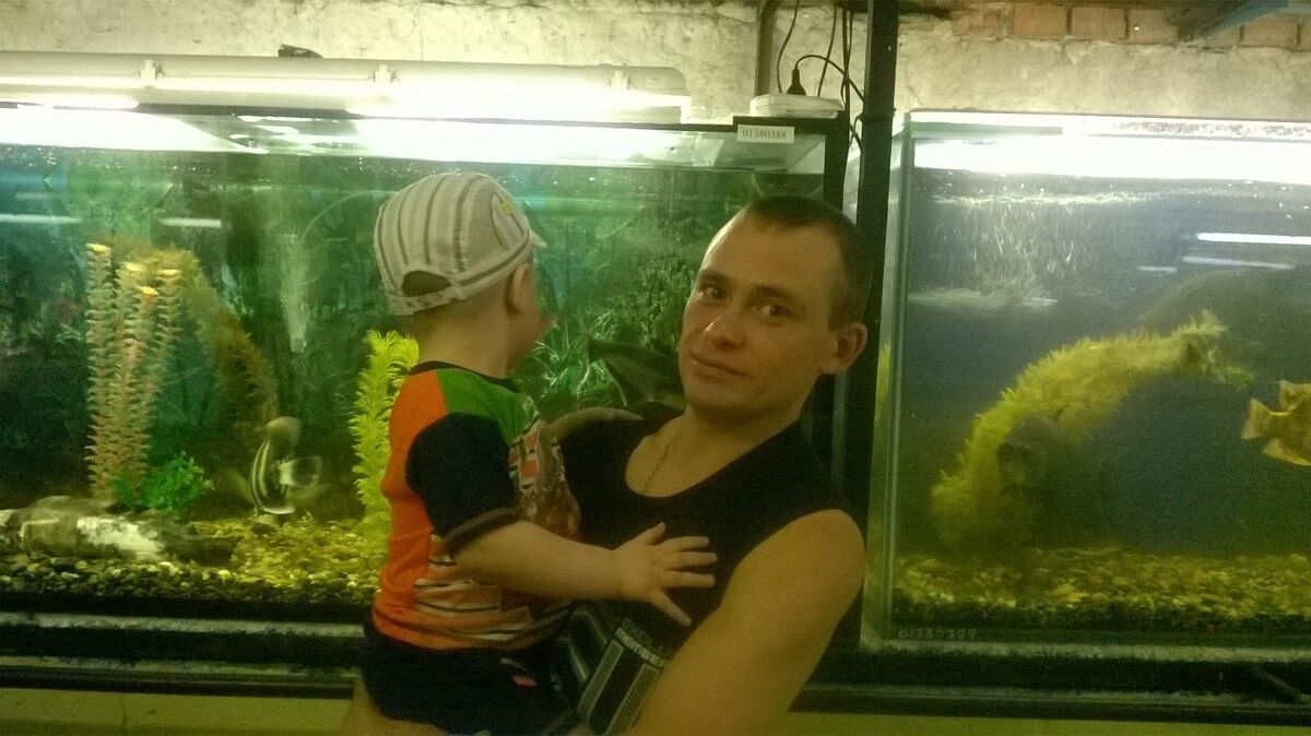 ���� 8114948 ������� �������, 44 ����, ���� ���������� � �����