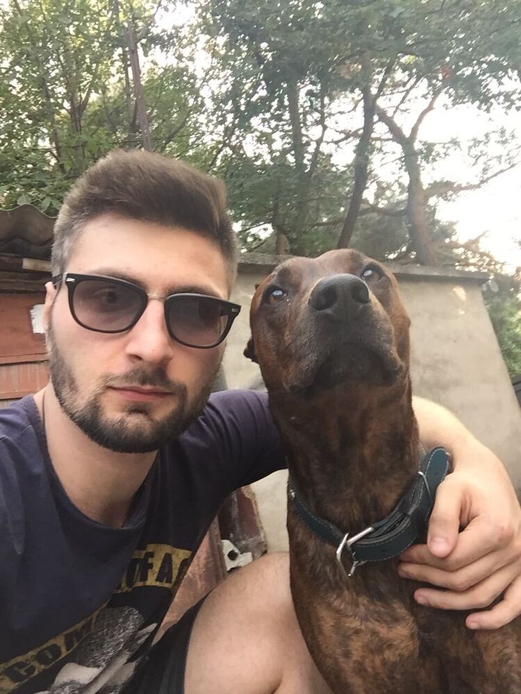 ���� 22998858 ������� Damiri, 30 ���, ���� ���������� � �������