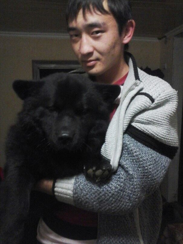 ���� 11636848 ������� ���������, 33 ����, ���� ���������� � ��������