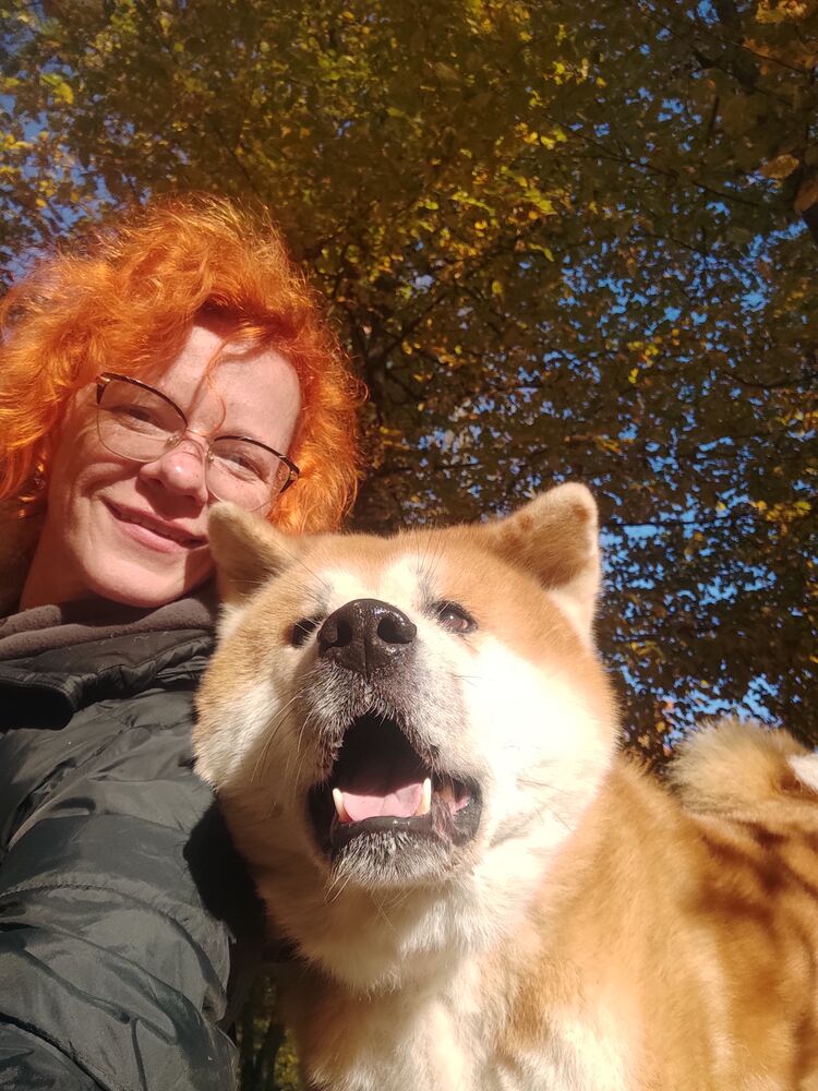 ���������� �����, ���� ������� �������, 48 ���, ������������ 