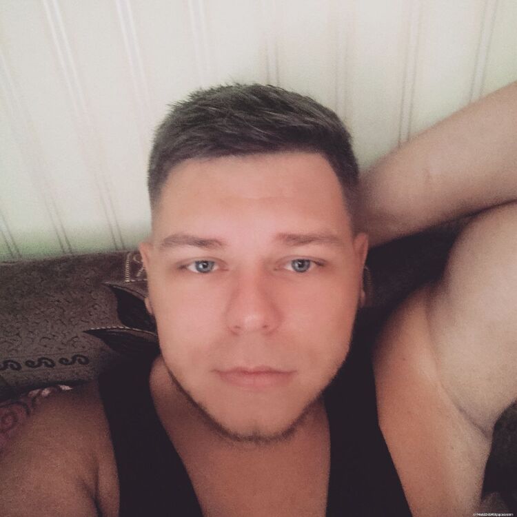  25068488  , 31 ,    