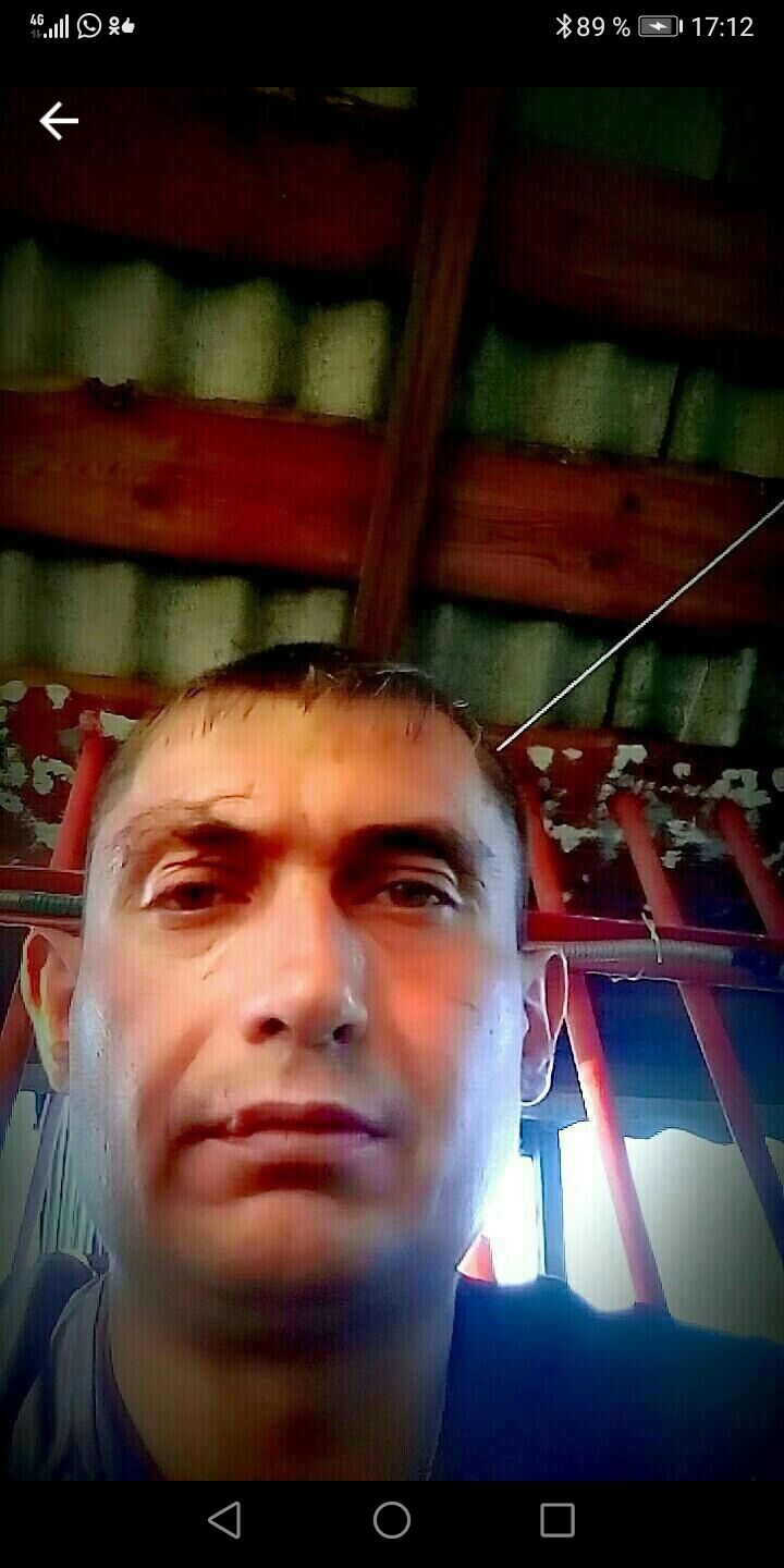  31097718  , 43 ,    