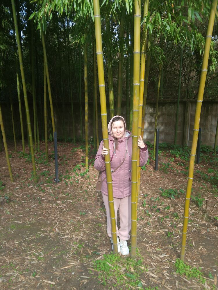 ���������� �����, ���� ������� ��������, 34 ����, ������������ ��� ����� � ���������, c�������� ���������