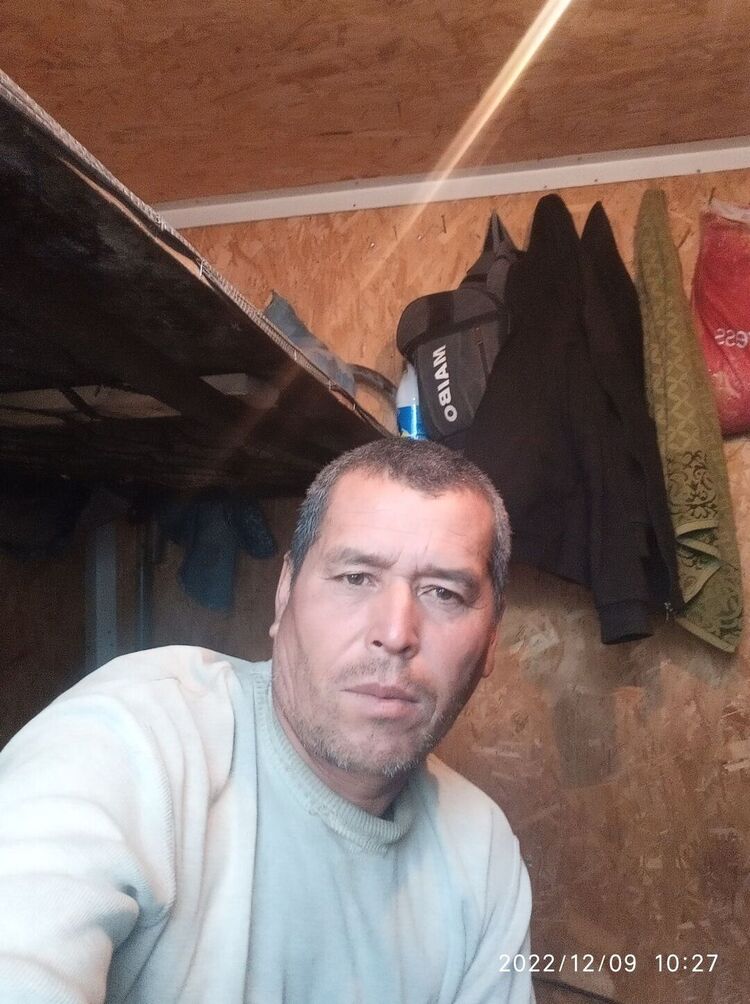  31159478  , 41 ,    