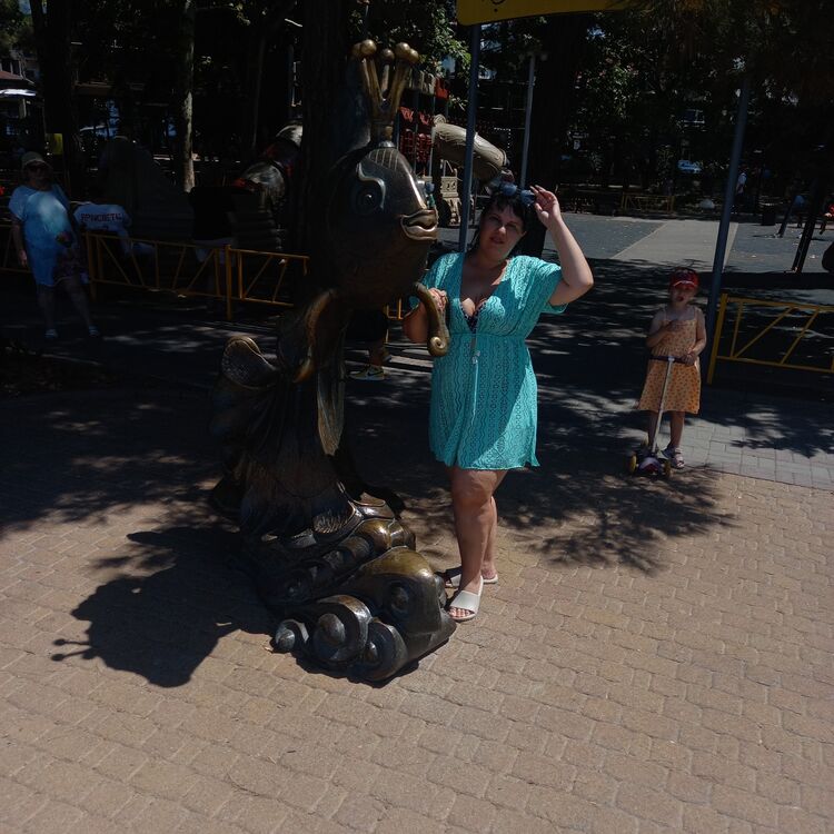  44938648  , 36 ,    