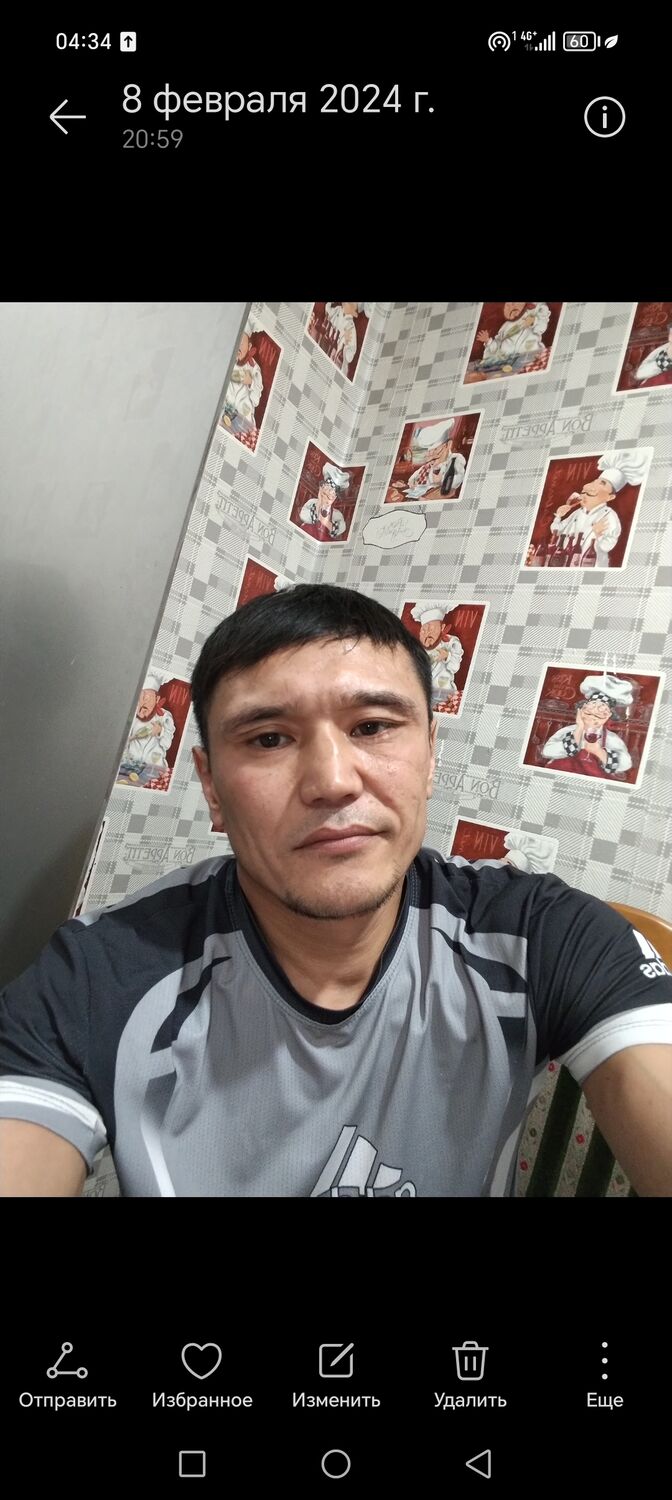  43306158  , 32 ,    