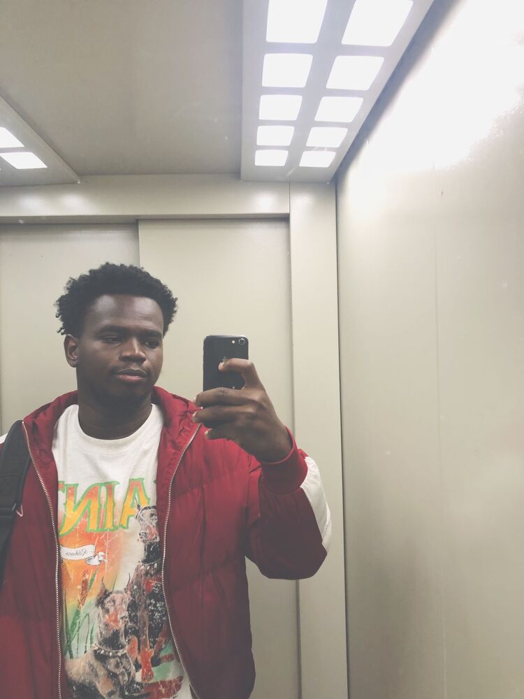  53913948  Blue Bird, 30 ,    