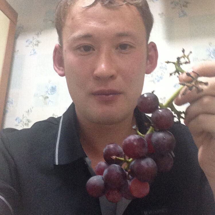 ���� 24667008 ������� ����, 45 ���, ���� ���������� � ����-���