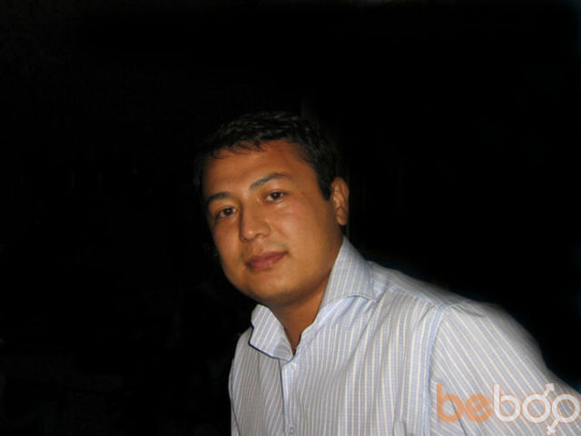  1179558  Shertoy, 40 ,    