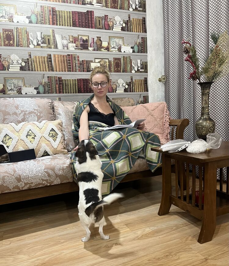  53828668  , 42 ,    -