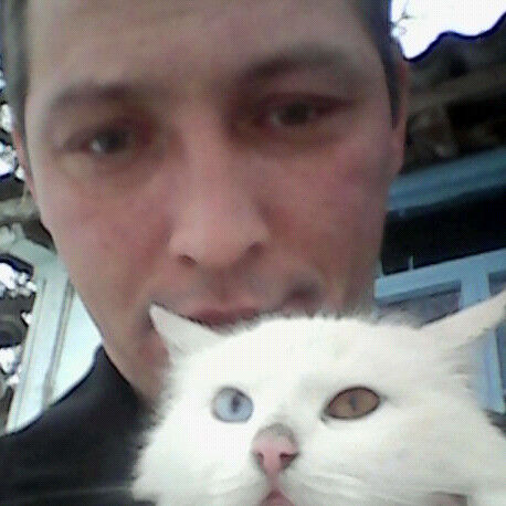  ,   , 45 ,   ,   , c , 