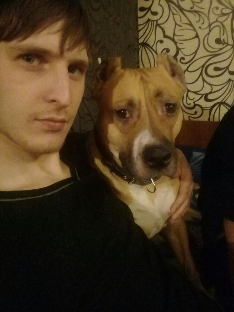 ���������� ������, ���� ������� �����, 31 ���, ������������ ��� ������, ����� � ���������, c�������� ���������, ���������