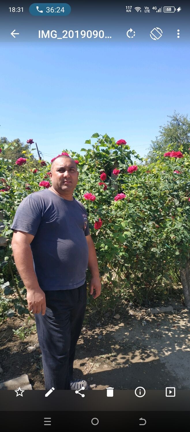 ���������� ������, ���� ������� ������, 44 ����, ������������ ��� ������, ����� � ���������