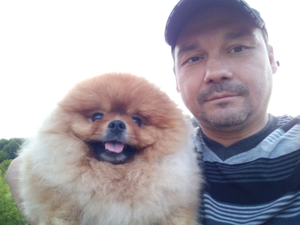 ���������� ���������� �����, ���� ������� ������, 42 ����, ������������ ��� ������, ����� � ���������, c�������� ���������