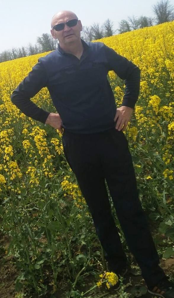  53775418  , 61 ,    