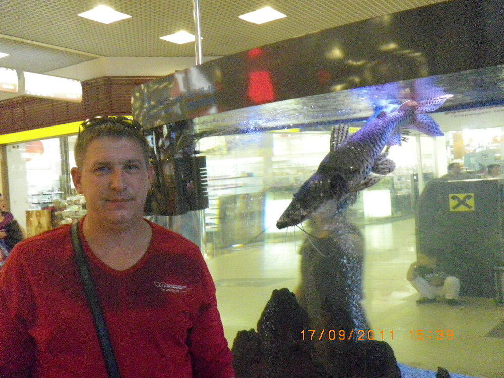  ,   Maris, 45 ,     , c 