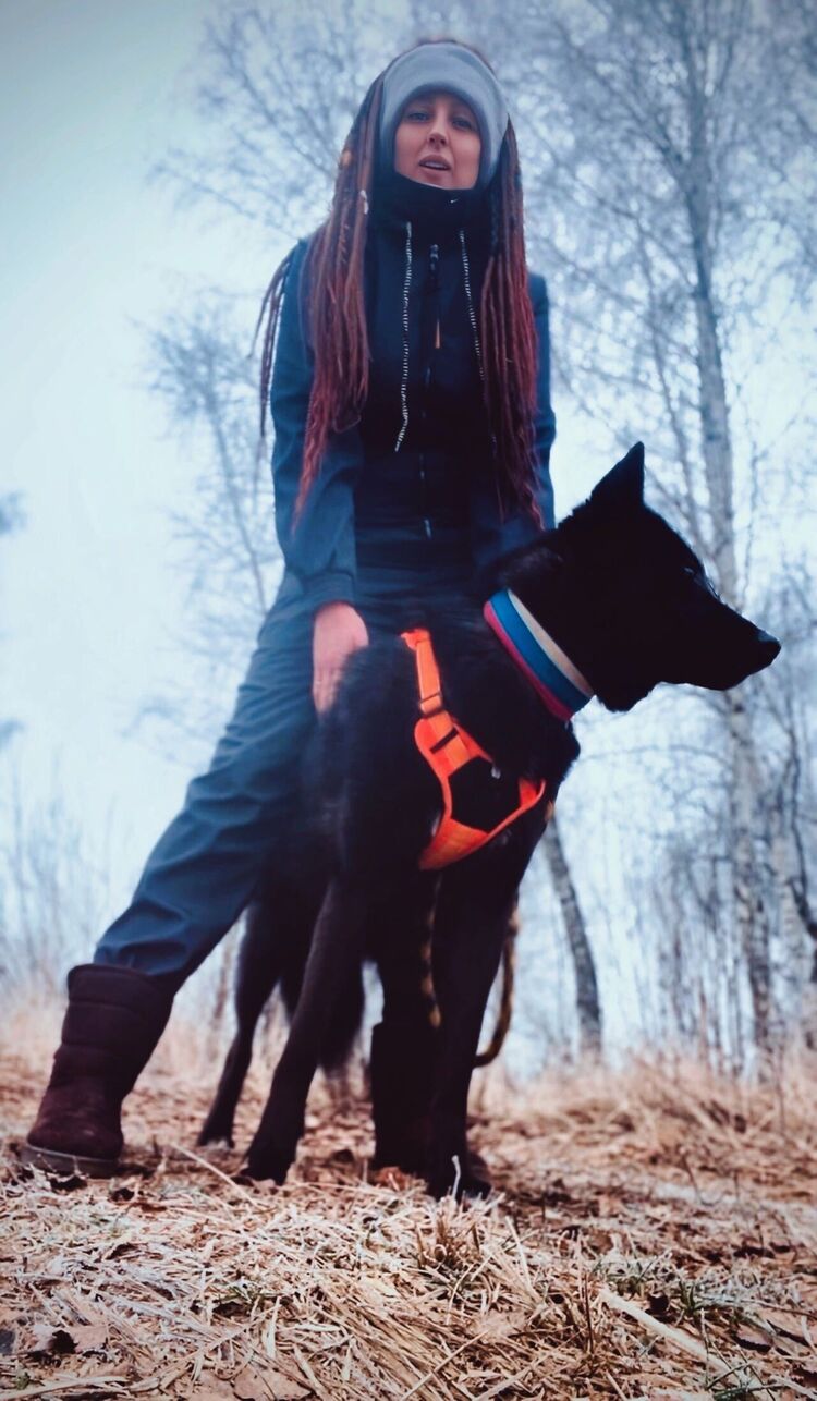 ���������� �������, ���� ������� Catalina, 35 ���, ������������ ��� ������, ���������