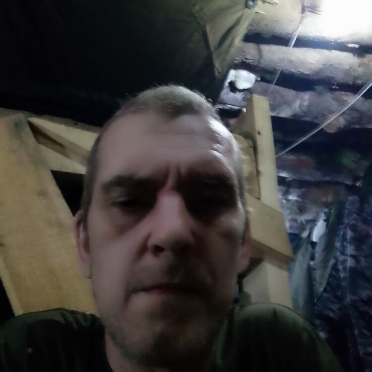 ���� 31712348 ������� ˸��, 48 ���, ���� ���������� � �������������