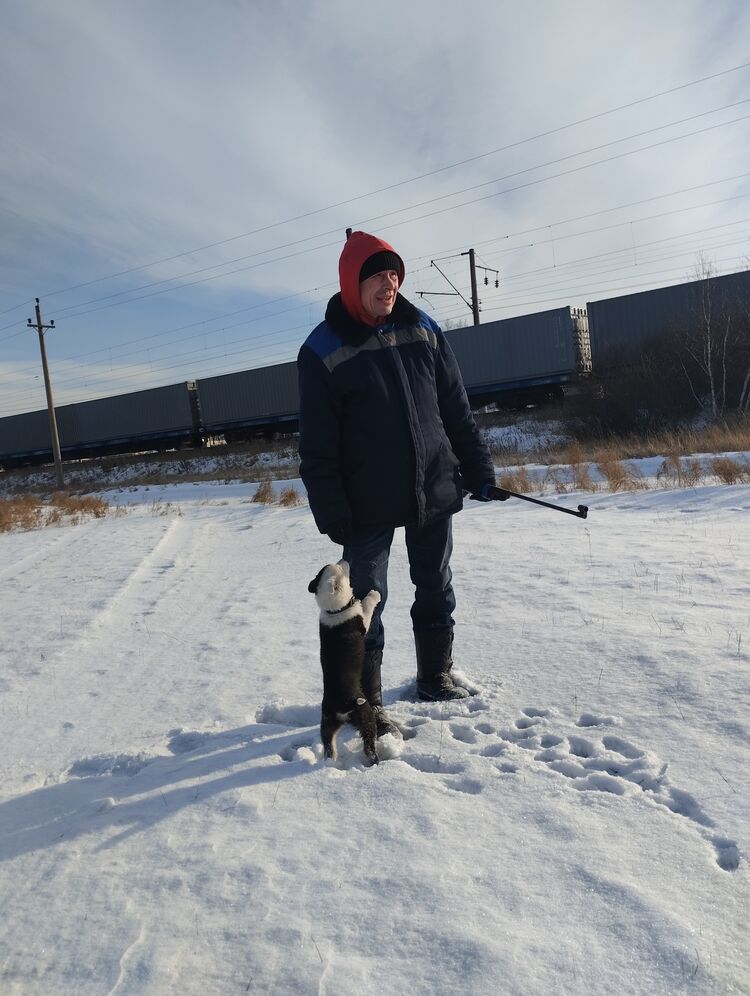 50212208  Alexey, 44 ,    -