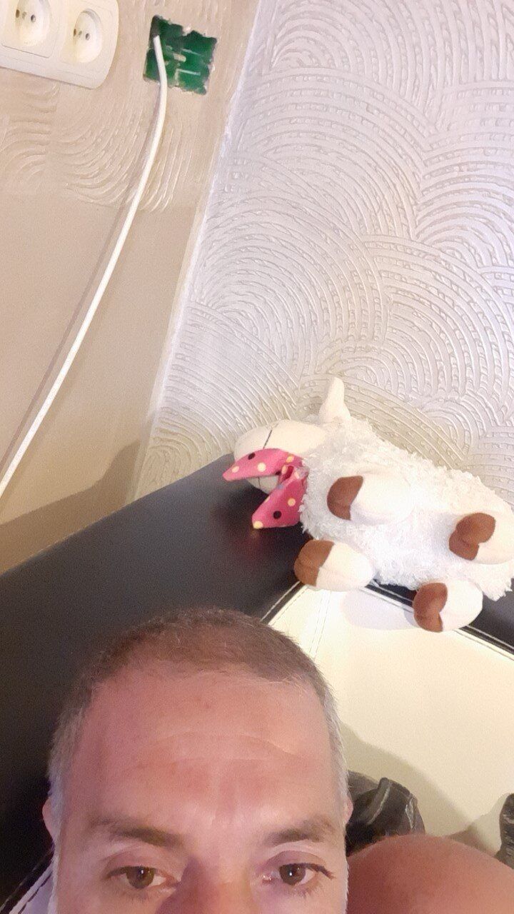  ,   , 43 ,   ,   