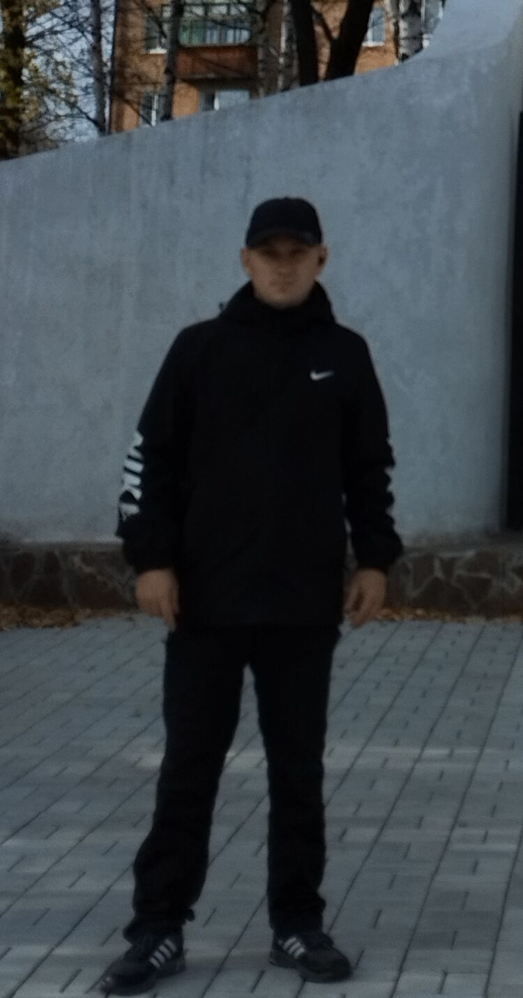  38493618  , 31 ,    