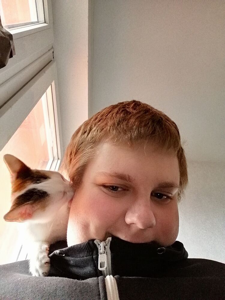  -,   , 25 ,   ,   